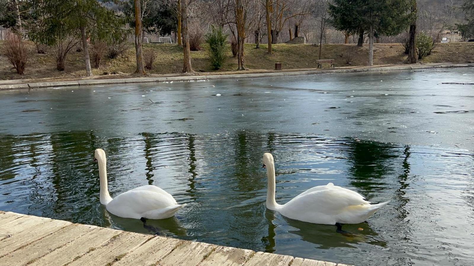 Apartament Del Llac Osséja Εξωτερικό φωτογραφία